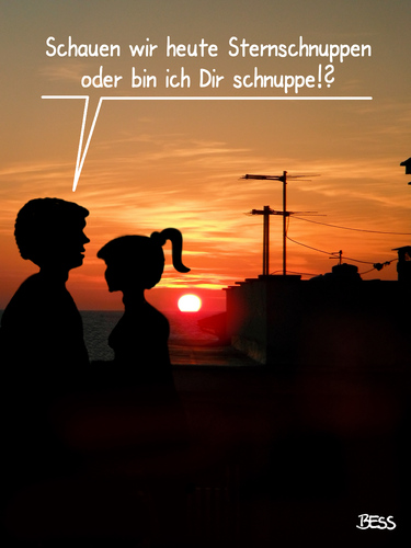 Cartoon: alles schnuppe (medium) by besscartoon tagged paar,beziehung,mann,frau,liebe,sternschnuppen,sonne,sonnenuntergang,bess,besscartoon