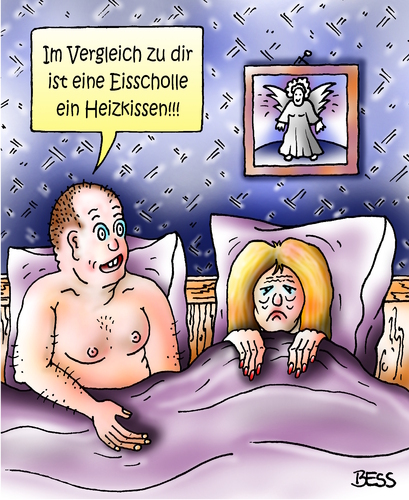 Cartoon: Eisscholle (medium) by besscartoon tagged mann,frau,paar,beziehung,bett,frigide,eisscholle,heizkissen,bess,besscartoon