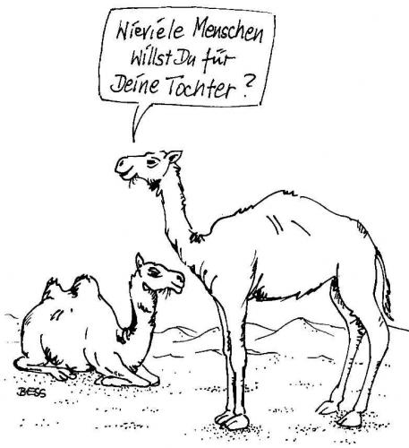 Cartoon: Mitgift (medium) by besscartoon tagged kamel,heiraten,hochzeit,wüste,bess,besscartoon