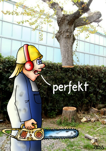 Cartoon: perfekt (medium) by besscartoon tagged mann,arbeit,holzfäller,baum,baumstamm,bess,besscartoon