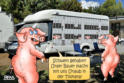 Cartoon: Schwein gehabt (medium) by besscartoon tagged schwein,bauer,landwirtschaft,toskana,tiere,tierschutz,urlaub,ferien,freizeit,wohnmobil,camping,bess,besscartoon