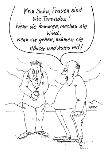 Cartoon: So ist das Leben! (medium) by besscartoon tagged männer,frauen,beziehung,liebe,tornado,wind,auto,haus,bess,besscartoon