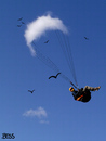 Cartoon: Der Traum vom Fliegen (small) by besscartoon tagged gleitschirm,fliegen,wolke,himmel,traum,bess,besscartoon