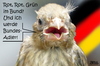 Cartoon: Rot Rot Grün (small) by besscartoon tagged rot,grün,bund,bundestagswahlen,deutschland,bundesadler,wahlen,koalition,bess,besscartoon