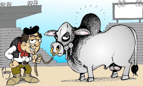 Cartoon: gran campeon (medium) by Palmas tagged campo,argentino