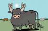 Cartoon: El toro (small) by Palmas tagged humor,gauchesco