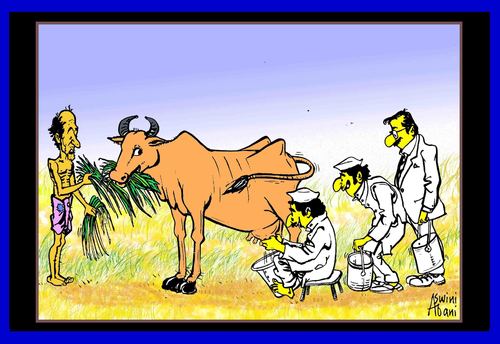 Cartoon: Poor man (medium) by Aswini-Abani tagged poor,rich,officials,politicians,cow,milking,india,aswini,abani,asabtoons