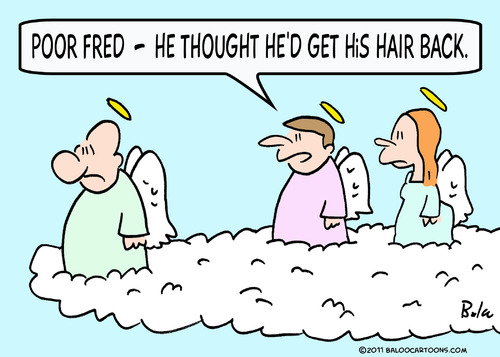 Cartoon: angels bald get hair back (medium) by rmay tagged angels,bald,get,hair,back