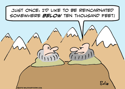 Cartoon: below reincarnated gurus (medium) by rmay tagged below,reincarnated,gurus