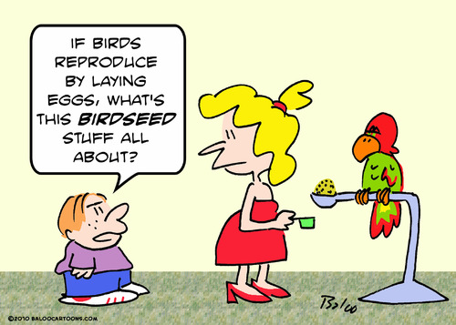 Cartoon: birdseed parrot laying eggs (medium) by rmay tagged birdseed,parrot,laying,eggs