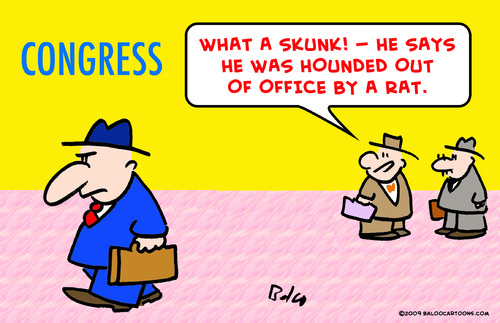 Cartoon: congressman skunk hounded rat (medium) by rmay tagged congressman,skunk,hounded,rat