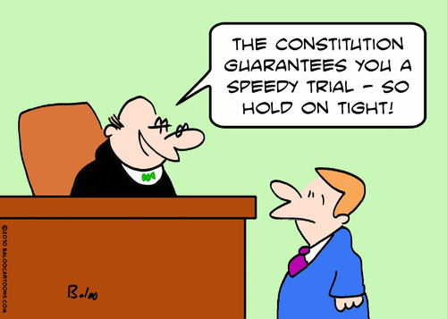 constitution guarantees speedy t By rmay | Politics Cartoon | TOONPOOL