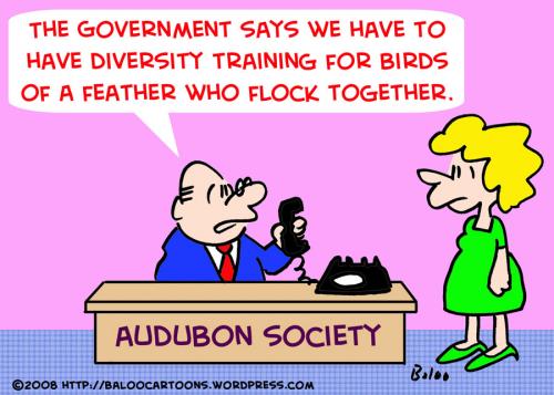 Cartoon: DIVERSITY TRAINING BIRDS FEATHER (medium) by rmay tagged diversity,training,birds,feather,flock,together