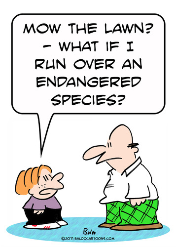 endangered species mow lawn By rmay | Nature Cartoon | TOONPOOL