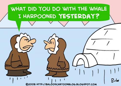 Cartoon: ESKIMO WHALE HARPOON (medium) by rmay tagged eskimo,whale,harpoon