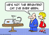 Cartoon: brightest cat bump goldfish (small) by rmay tagged brightest,cat,bump,goldfish