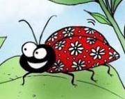 ladybugsaadet