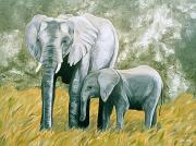 ELEPHANTS