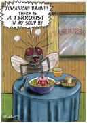 Flies and soups